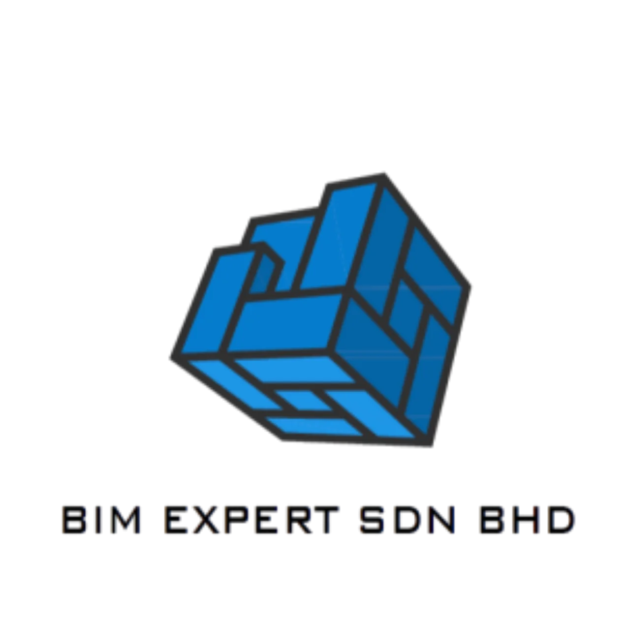 BIM EXPERT